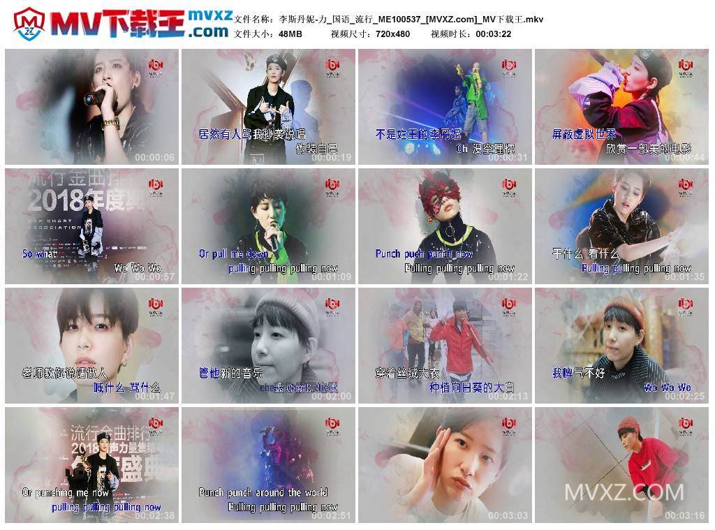 李斯丹妮-力_国语_流行_ME100537